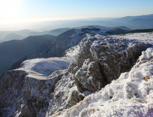 Dynafit Schneeberg Challenge